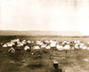 Crow Indian Reservation in Montana. Poster Print - Item # VARBLL058751254L