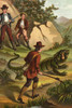 Fritz has a snare and will attempt to capture a large iguana Poster Print by Johann David  Wyss - Item # VARBLL0587316136