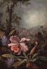 Orchids in the Amazon Rainforest Poster Print by Martin Johnson Heade - Item # VARBLL0587559691