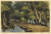 Scene of wagons on a log bridge across a swampy area of the Chickahominy River. Poster Print - Item # VARBLL058753420L