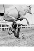 Junior rodeo rider suffers a big fall from a Brahma bull in a rodeo competition. Poster Print - Item # VARBLL0587331569