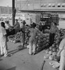 Washington, D.C. Unloading watermelons at the farmers' market Poster Print - Item # VARBLL058745019L