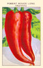 Long red ordinary chilli pepper Poster Print by unknown - Item # VARBLL058740938x