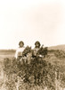 Two girls standing in a field of goldenrod. Poster Print - Item # VARBLL058747527L