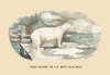 Polar bears in an icy landscape. Poster Print by E. F. Noel - Item # VARBLL0587088982