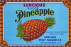 Vintage label for pineapple grown in San Jose, California with a bald eagle and two bears. Poster Print by unknown - Item # VARBLL0587315458