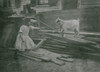 Child feeds a sheep at Back-yard, Spruce Street, Providence, R.I. Poster Print - Item # VARBLL058754367L