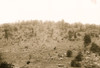 Gettysburg, Pennsylvania. View of Little Round Top Poster Print - Item # VARBLL058745124L