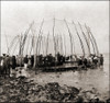 Fishing nets on huge poles for a catch of flounder Poster Print by unknown - Item # VARBLL0587433655