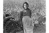 Cotton picker. Southern San Joaquin Valley, California Poster Print by Dorothea Lange - Item # VARBLL0587240679