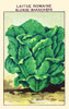 Blond romaine lettuce Poster Print by unknown - Item # VARBLL0587409339