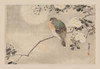 Celebrated annually for decades, the cherry blossom festival welcomes spring. Poster Print by Unknown - Item # VARBLL0587204214