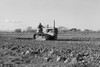 Cultivating potato field. California Poster Print by Dorothea Lange - Item # VARBLL0587241802