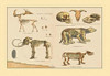A collection of more recent pre-historic mammals from mammoths to bears, and early humans. Poster Print by unknown - Item # VARBLL058717921x