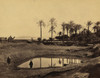 Salt Lake. Karnak; Men with camels pause near a lake, palm trees in background. Poster Print - Item # VARBLL058754073L