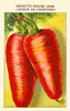 red semi long carrot from Chantenay Poster Print by unknown - Item # VARBLL0587409347