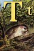 Illustrated Letter from "The Nursery Alphabet" Poster Print by Edmund Evans - Item # VARBLL0587267828