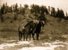 Apsaroke woman on horseback, packhorse beside her. Poster Print - Item # VARBLL058747266L