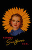 A woman's face centers a flower against a coal black background on this advertising postcard for Sunflower coal.  From The Comley Lumber Co., Murdock, Kansas. Poster Print by Curt Teich & Company - Item # VARBLL0587381779