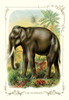 Profile of an elephant in the Jungle. Poster Print by unknown - Item # VARBLL0587111941
