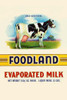 Original can label for Evaporated Milk showing a cow. Poster Print by unknown - Item # VARBLL0587336277