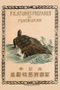 Dragon Turtle on Rock in ocean with surf and waves Poster Print by Unknown - Item # VARBLL0587274018
