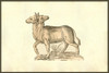 Vitulus biceps capitibus in occipitio copulatis, two-headed calf.   From the 1642 book Monstrorum Historia by Ulisse Aldrovandi .   He is considered the founder of modern Natural History. Poster Print by Ulisse Aldrovandi - Item # VARBLL058741801x