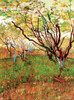 Orchard in Blossom Poster Print - Item # VARBLL058750509L