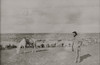 Large Albumen Photograph Of Sheep Herder With Winchester 1890S - Albumen Photograph Of Man And His Large Flock Of Sheep In New Mexico, Holding A Winchester Rifle. Poster Print - Item # VARBLL0587402830