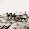 City Point, Virginia. Four-mule army team and wagon Poster Print - Item # VARBLL058754186L