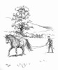 Illustration  Driving A Pony On Long Reins Poster Print By Mary Evans Picture Library - Item # VARMEL10956757
