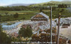 Los Angeles Pigeon Farm  Elysian Park  California Poster Print By Mary Evans / Grenville Collins Postcard Collection - Item # VARMEL11068040
