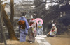 Japan - A Group Of Friendly Geisha Girls Poster Print By Mary Evans / Grenville Collins Postcard Collection - Item # VARMEL10991659