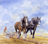 Horses Pulling The Plough Poster Print By Malcolm Greensmith ® Adrian Bradbury/Mary Evans - Item # VARMEL10271153