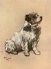 Small Terrier -- Little Dog Riley Poster Print By Mary Evans Picture Library - Item # VARMEL10214534