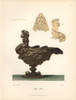 Table Ornament In Gold From The 17Th Century:À Poster Print By ® Florilegius / Mary Evans - Item # VARMEL10938023