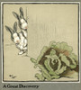 Humpty And Dumpty The Rabbits Find A Cabbage Poster Print By Mary Evans Picture Library - Item # VARMEL10644906