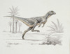 Heterodontosaurus Poster Print By Mary Evans / Natural History Museum - Item # VARMEL10717295