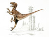 Deinonychus Poster Print By Mary Evans / Natural History Museum - Item # VARMEL10703983