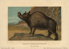 Brontops Robustus  Extinct Genus Of Rhinoceros-Likeà Poster Print By ® Florilegius / Mary Evans - Item # VARMEL10937750