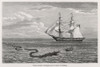 Folklore/Sea Serpent Poster Print By Mary Evans Picture Library - Item # VARMEL10011597