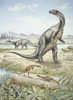 Upper Triassic Dinosaurs Discovered In Southern Germany Poster Print By Mary Evans / Natural History Museum - Item # VARMEL10703969