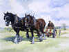 A Team Of Working Horses At Work Poster Print By Malcolm Greensmith ® Adrian Bradbury/Mary Evans - Item # VARMEL10271142
