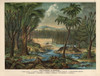 Plant Landscape Of The Permian Poster Print By ® Florilegius / Mary Evans - Item # VARMEL10941170
