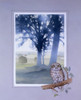 Light Through The Trees And A Perched Little Owl Poster Print By Malcolm Greensmith ® Adrian Bradbury/Mary Evans - Item # VARMEL10271279