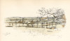 Shuckburgh  In The Warwickshire Hunt Area Poster Print By Mary Evans Picture Library - Item # VARMEL10956580