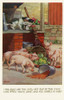 Cats & Pigs Poster Print By Mary Evans Picture Library/Peter & Dawn Cope Collection - Item # VARMEL10981941