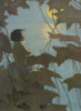 Water Babies/Tom/Moon Poster Print By Mary Evans Picture Library - Item # VARMEL10127220