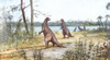 Iguanodon Poster Print By Mary Evans / Natural History Museum - Item # VARMEL10704918