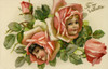 Pink Rose Flower Faces Poster Print By Mary Evans Picture Library / Peter & Dawn Cope Collection - Item # VARMEL10694218